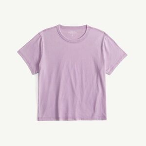 Abercrombie & Fitch Lilac Crewneck Short Sleeve Tee